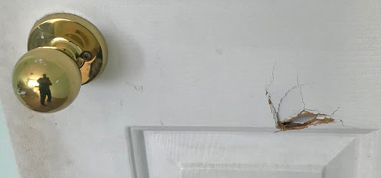 interior door hole repair Woodland