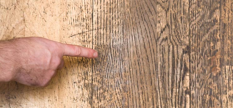 Wood Door Scratch Repair in Woodland